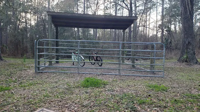 Bearhead Hammock Recreational Area Picture 3