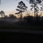 Bearhead Hammock Recreational Area