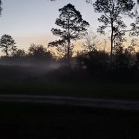 Bearhead Hammock Recreational Area ico