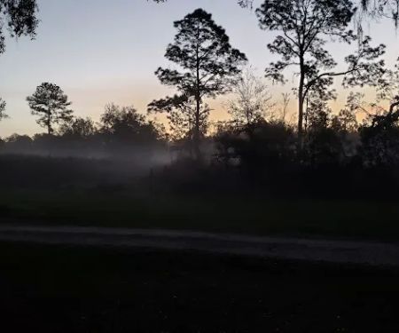 Bearhead Hammock Recreational Area