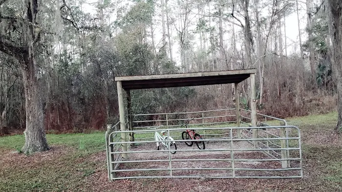 Bearhead Hammock Recreational Area Picture 5