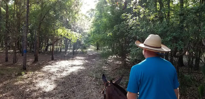 Bearhead Hammock Recreational Area Picture 8
