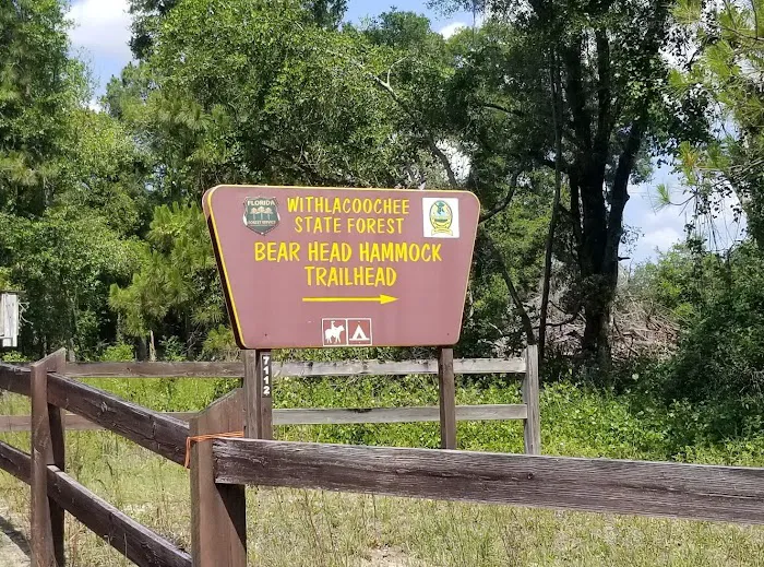 Bearhead Hammock Recreational Area Picture 10