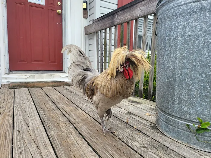 Quail Roost RV Campground Picture 7