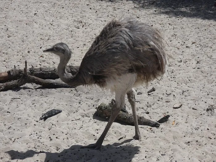 Quail Roost RV Campground Picture 8