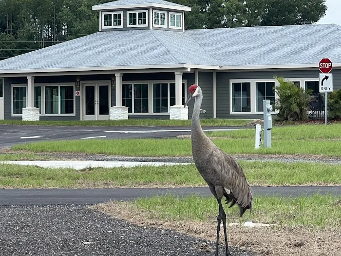 Crystal River KOA Journey Picture 9