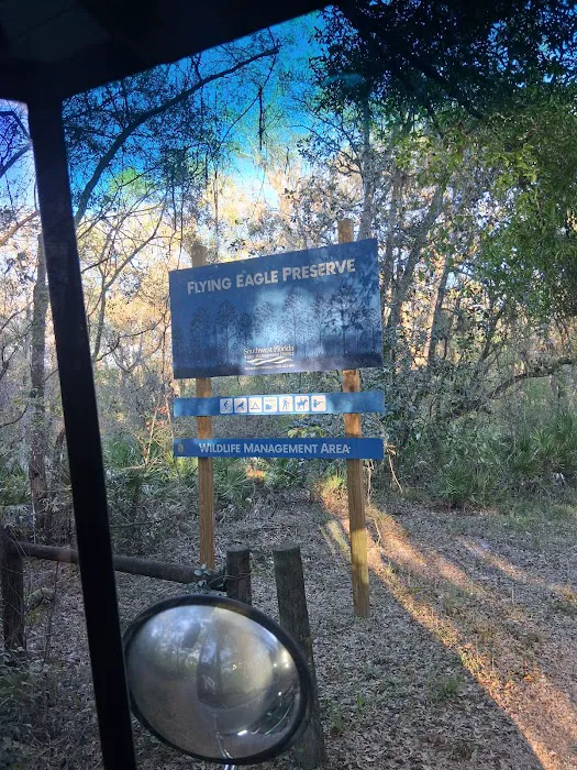 Flying Eagle Primitive Campground exact site Picture 9