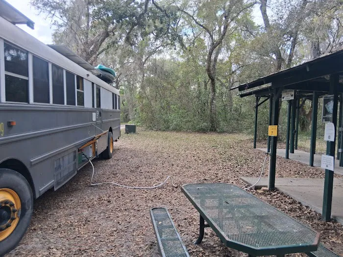 Flying Eagle Primitive Campground exact site Picture 8