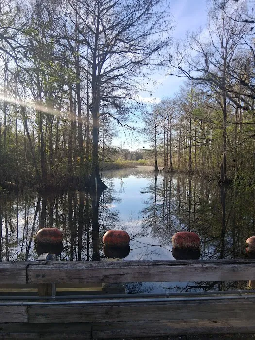 Flying Eagle Primitive Campground exact site Picture 5