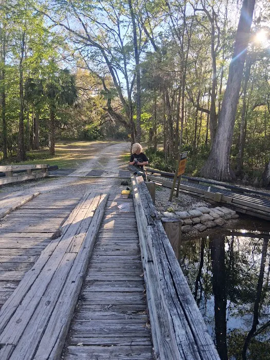 Flying Eagle Primitive Campground exact site Picture 3