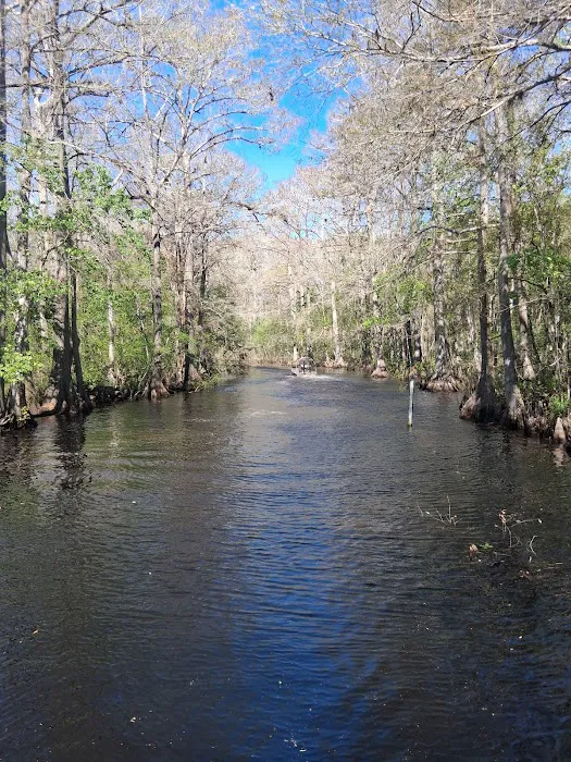 Flying Eagle Primitive Campground exact site Picture 10