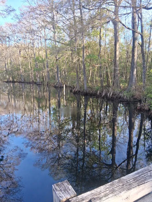 Flying Eagle Primitive Campground exact site Picture 1