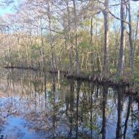 Flying Eagle Primitive Campground exact site ico