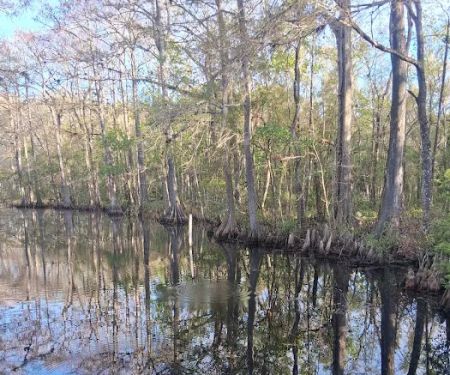 Flying Eagle Primitive Campground exact site