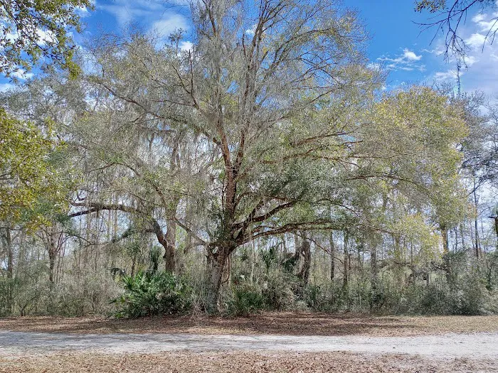 Flying Eagle Primitive Campground exact site Picture 6