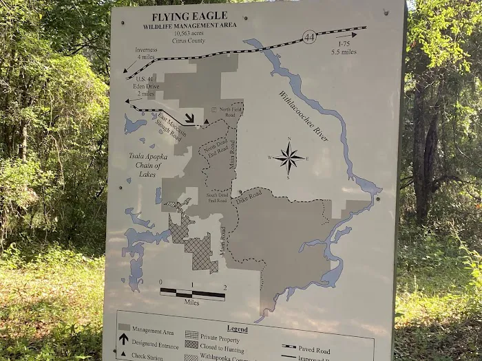 Flying Eagle Preserve Campground Picture 3