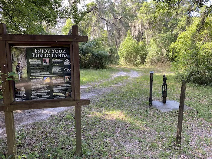 Flying Eagle Preserve Campground Picture 5