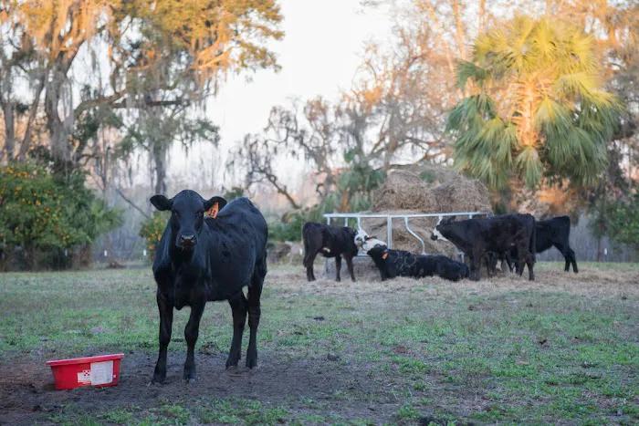 Wonderfield Farm & Retreat Picture 8