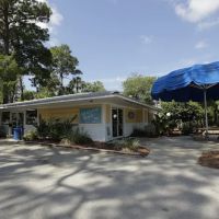 Encore Crystal Isles ico