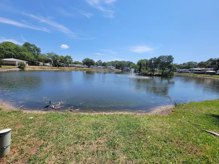 Encore Crystal Isles Picture 5