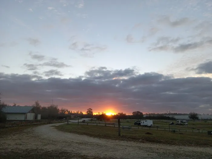 Big Scrub Campground Picture 4