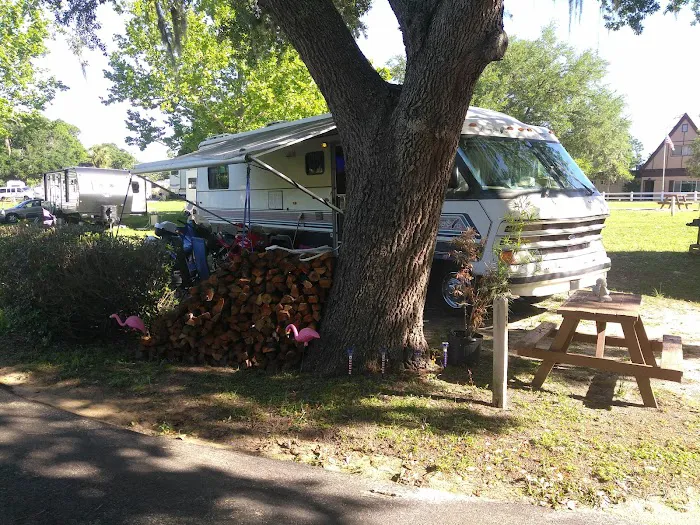 Ocala Forest Campground Picture 2