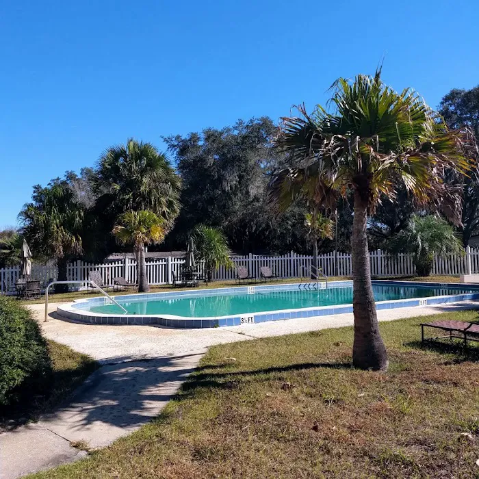 Ocala Forest Campground Picture 3