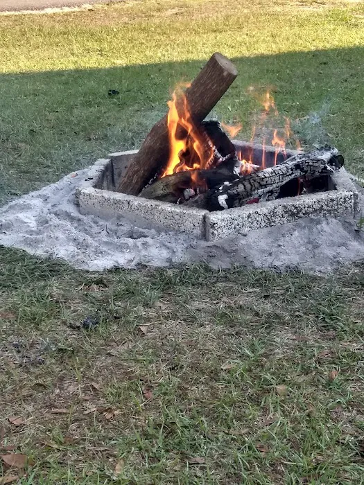 Ocala Forest Campground Picture 8