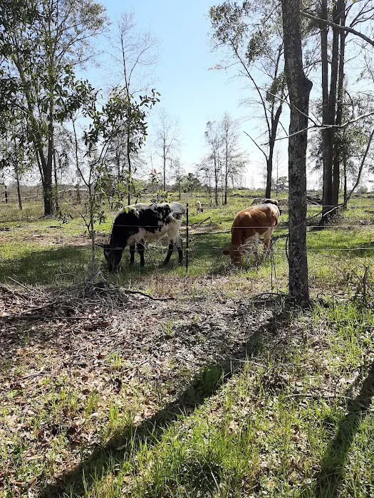 A-ok Campground Picture 10