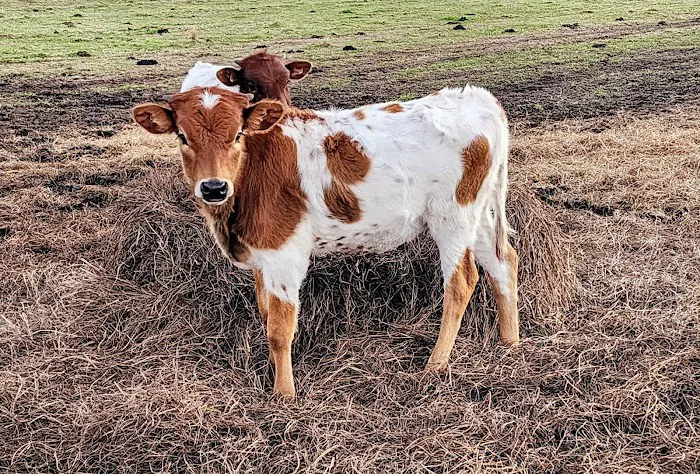 A-ok Campground Picture 7