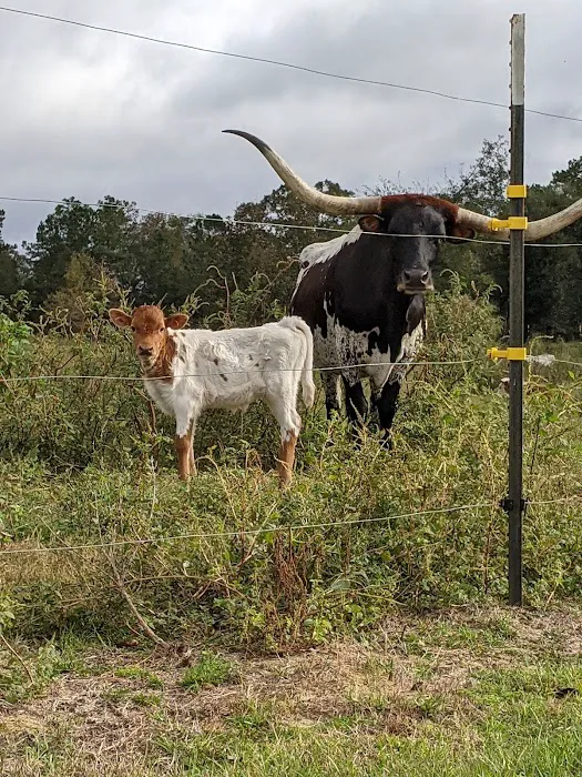 A-ok Campground Picture 4