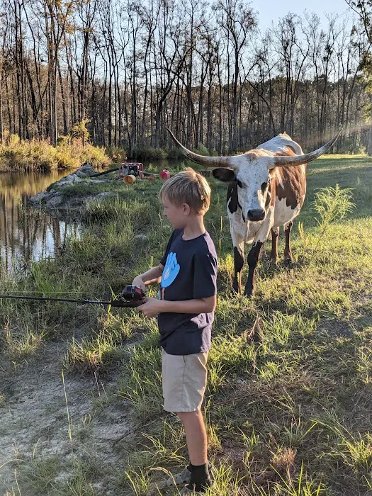 A-ok Campground Picture 8