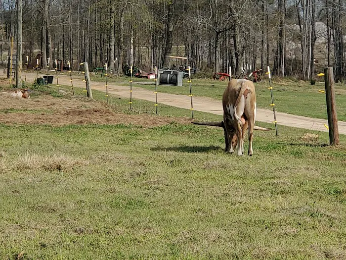 A-ok Campground Picture 3