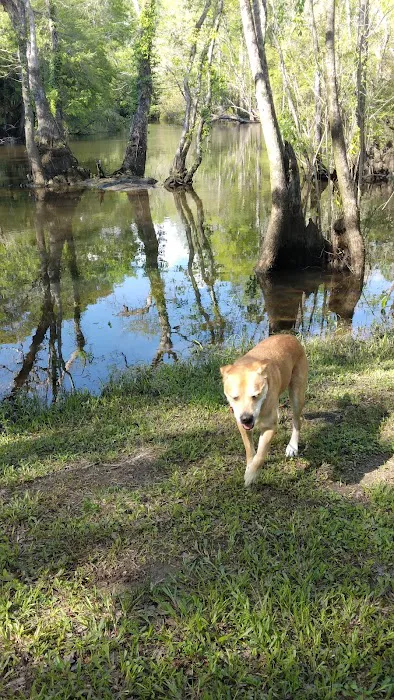 Holmes Creek Camping & RV Resort Picture 8