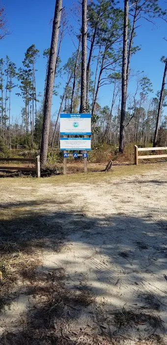 Longleaf Campsite at Walsingham Campgrounds Picture 1