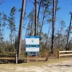 Longleaf Campsite at Walsingham Campgrounds