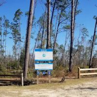 Longleaf Campsite at Walsingham Campgrounds ico