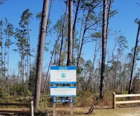 Longleaf Campsite at Walsingham Campgrounds