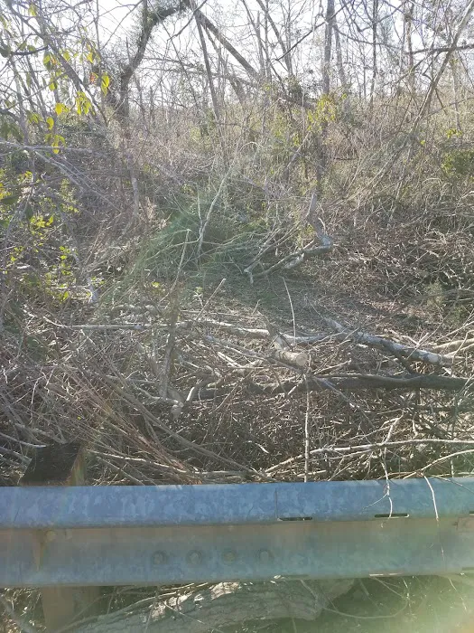 Walsingham Camp Site Picture 9