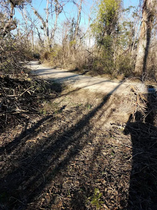 Walsingham Camp Site Picture 7