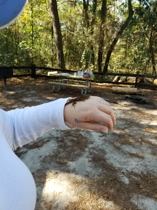 Walsingham Camp Site Picture 5