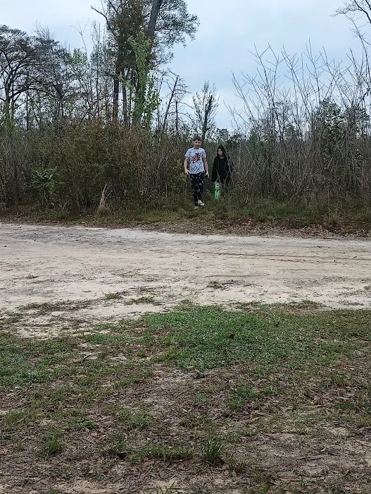 Walsingham Camp Site Picture 1