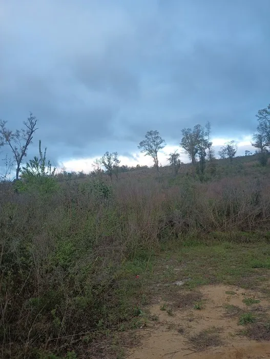 Walsingham Camp Site Picture 2