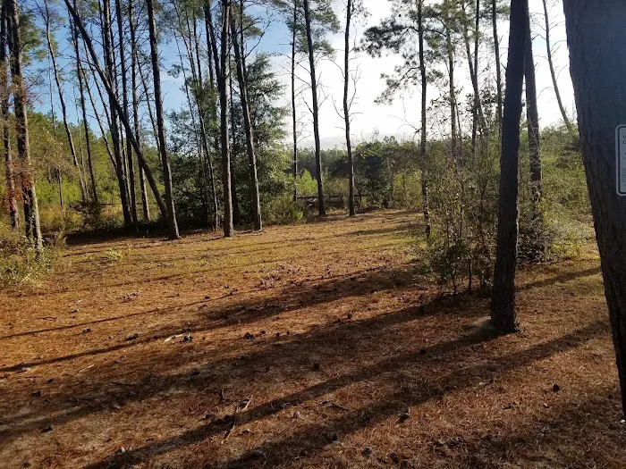 Pine Ridge Equestrian Trail Picture 4