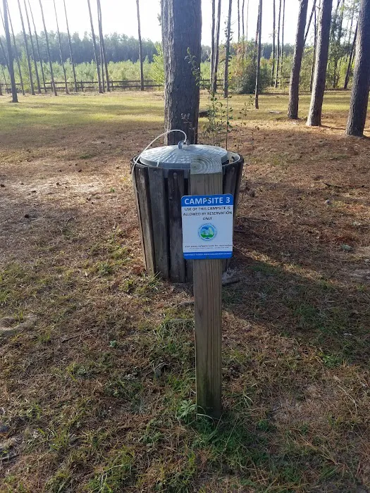 Pine Ridge Equestrian Trail Picture 8