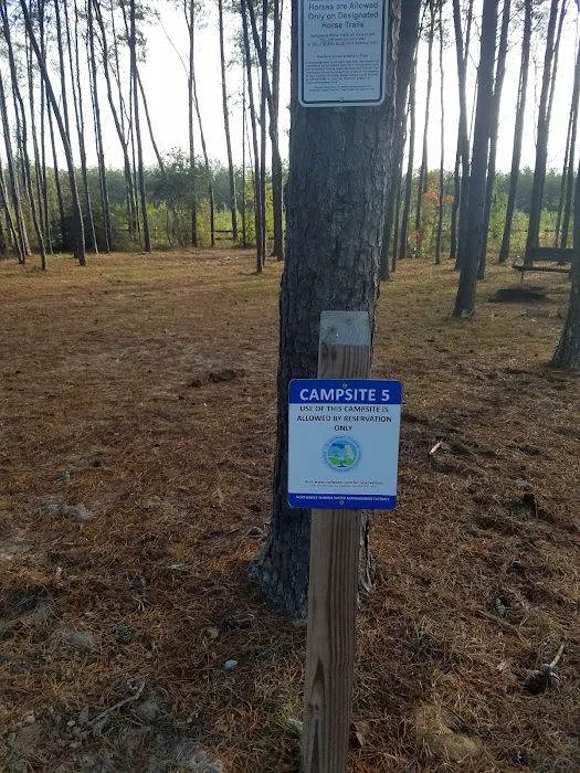 Pine Ridge Equestrian Trail Picture 7