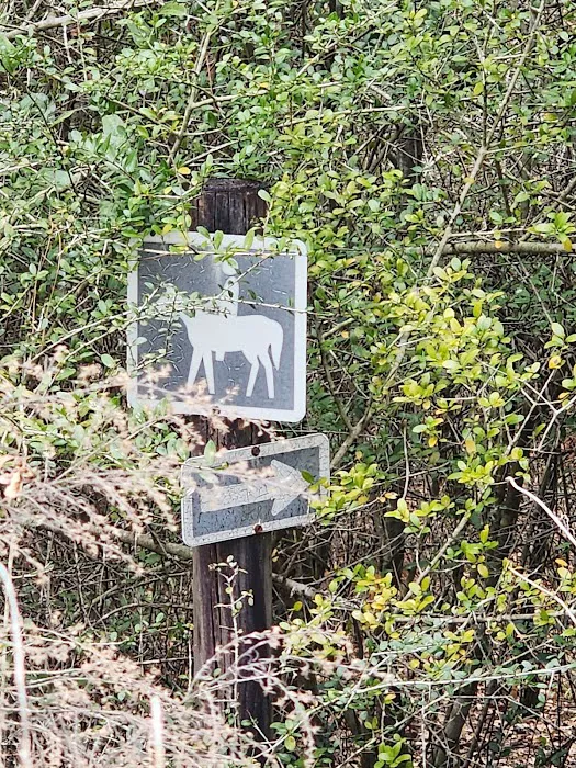 Sparkleberry Pond Picture 9