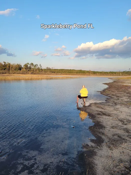 Sparkleberry Pond Picture 6