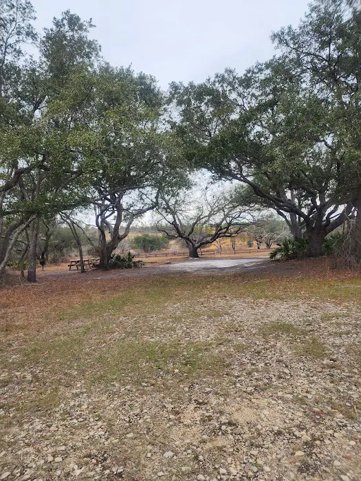 Sparkleberry Pond Picture 3