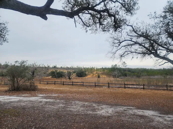 Sparkleberry Pond Picture 8